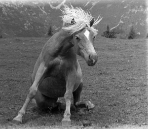 Brez naslova. Fotografija.